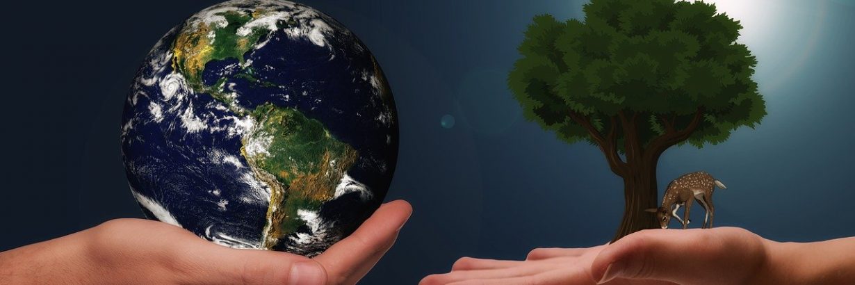 Hands Earth Next Generation
