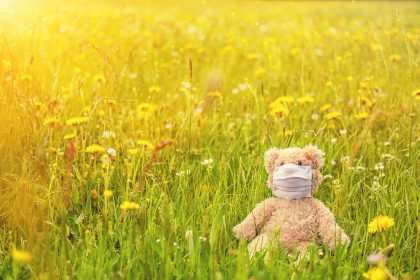 Meadow Spring Bloom Pollen Mask - Bru-nO / Pixabay