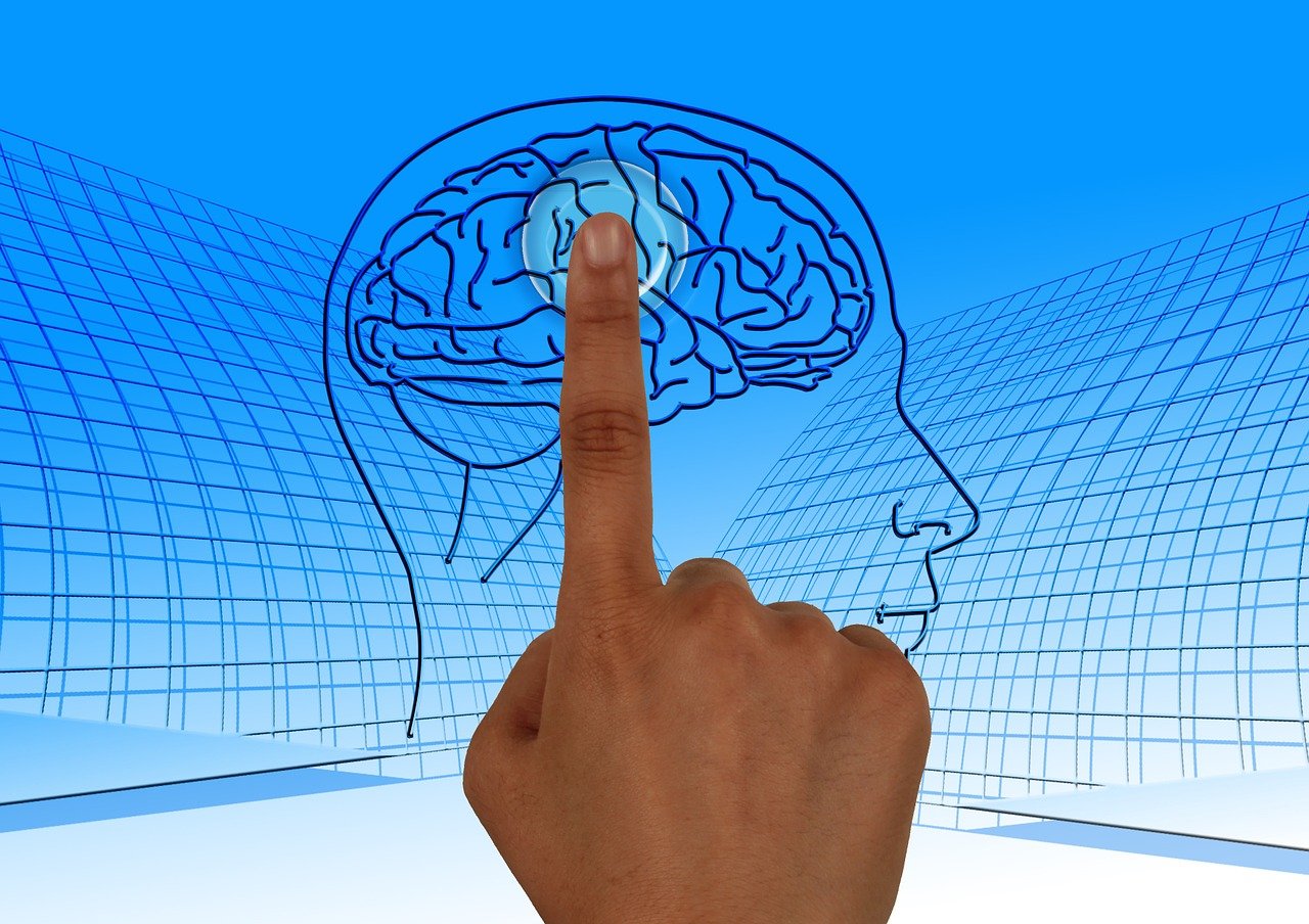 Brain Turn On Education Read Book  - geralt / Pixabay