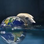 Polar Bear Planet Earth Bear Earth  - davidsenterprises / Pixabay