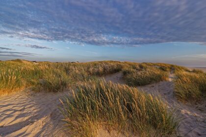 denmark, landscape, summer