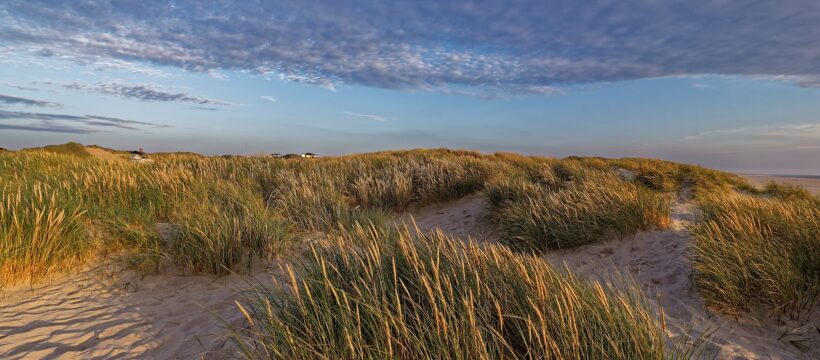 denmark, landscape, summer