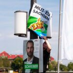 afd, saxony, politics