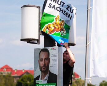 afd, saxony, politics