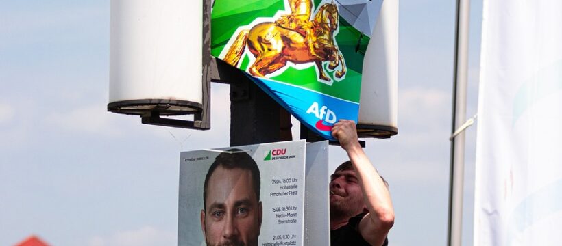 afd, saxony, politics