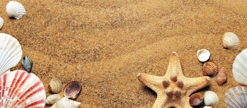 seashells, sand, full hd wallpaper, beach, windows wallpaper, free wallpaper, sea, laptop wallpaper, beautiful nature, nature wallpaper, coast, flat lay, hd wallpaper, cool backgrounds, background, 4k wallpaper 1920x1080, desktop backgrounds, wallpaper, beautiful wallpaper, wallpaper hd, nature background, mac wallpaper, free background, starfish, shells, wallpaper 4k, nature, shore, 4k wallpaper, seashore