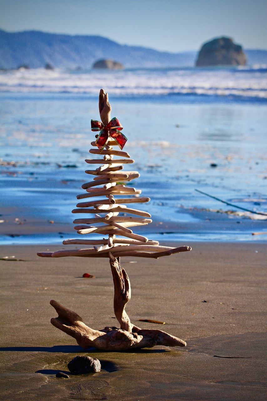 christmas, beach, sea, holiday, sky, nature, sand, driftwood, christmas tree, ocean, california, ch, vacation, relaxation, christmas, driftwood, driftwood, driftwood, driftwood, driftwood, california